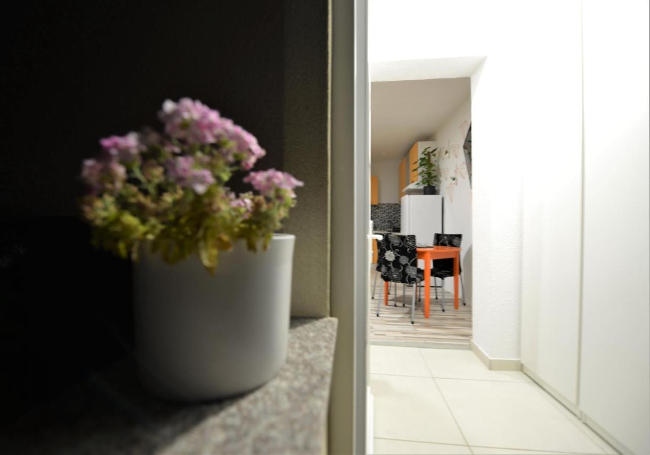 Pop&Rock Holiday House ซาดาร์ ภายนอก รูปภาพ